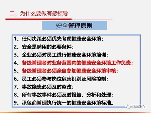 精品ppt 落實(shí)直線組織安全管理 有感領(lǐng)導(dǎo) 直線責(zé)任 屬地管理